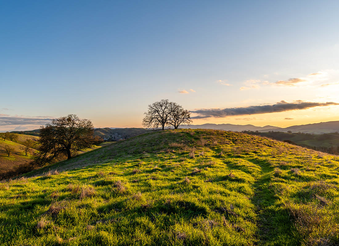 Contact - Sunset Landscape View of Hills and Trees From Mount Diablo State Park